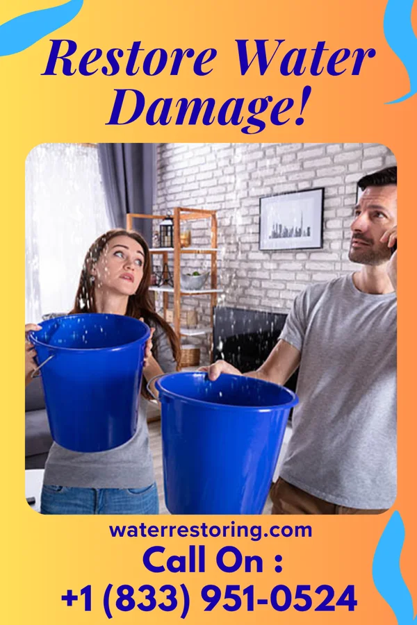 water restoration Pinnacle Disaster Cleanup Pros Lake Shore