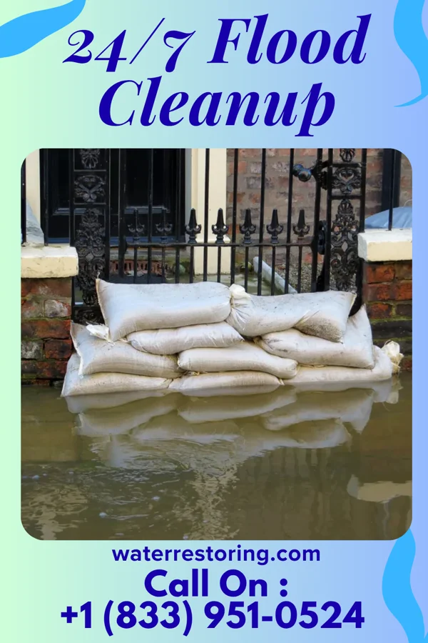 24/7 Flood Cleanup in Lake Shore, MN