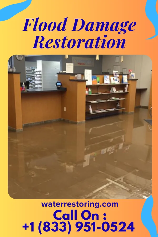 Flood Damage Restoration in Lake Shore, MN